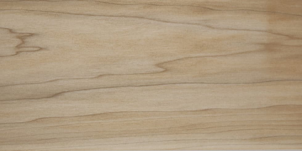 Тополь (Poplar)