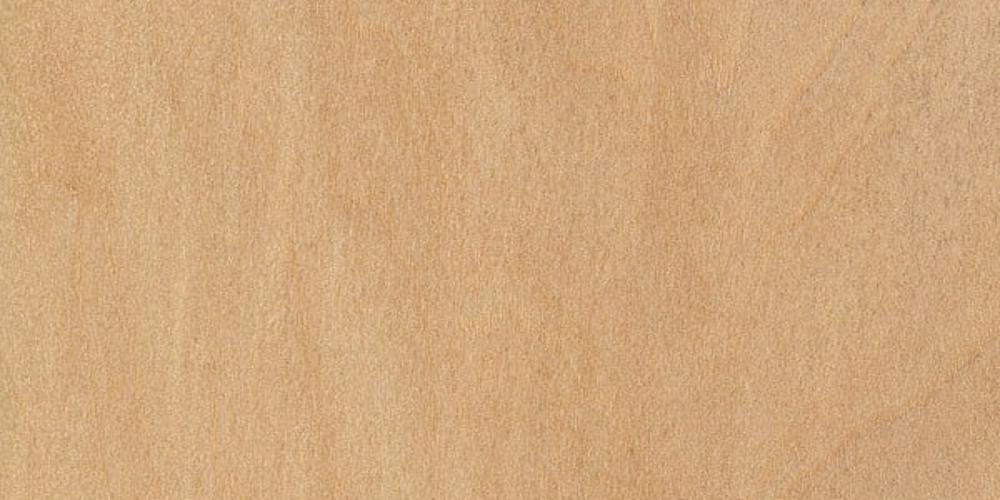 Липа (Basswood)