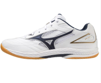 Mizuno Wave Drive 9 