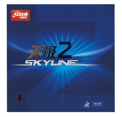 DHS Skyline 2