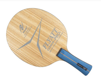Nittaku Flyatt Carbon Pro