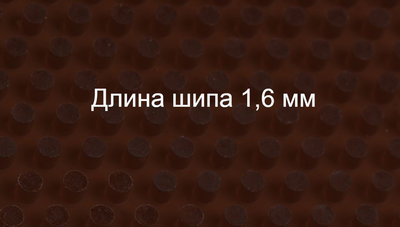 длинный шип с гладкой поверхностью