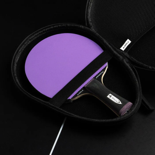 Joola Hardcase с ракеткой