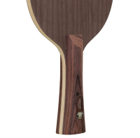 Stiga Destiny Carbon Master
