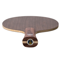 Stiga Destiny Carbon торец