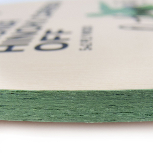 Gewo Aruna Hinoki Carbon OFF