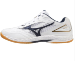 Mizuno Wave Drive 9 