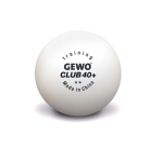 Gewo Training Club 2*