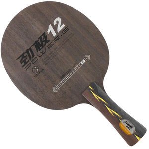 DHS POWER G12