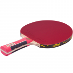 ATEMI PRO 2000