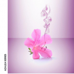 Stiga Azalea Allround