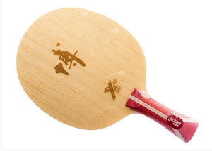 DHS Fang Bo Carbon B2X