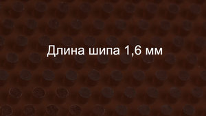 длинный шип с гладкой поверхностью