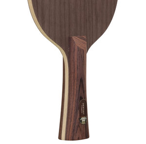 Stiga Destiny Carbon Master